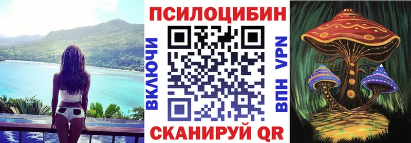 OMG маркетплейс Мышкин Псилоцибиновые грибы мухоморы